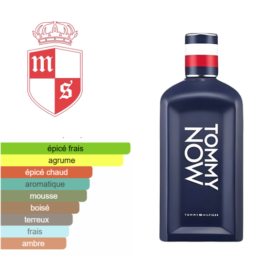 Extrait de TOMMY NOW qualité premuim .