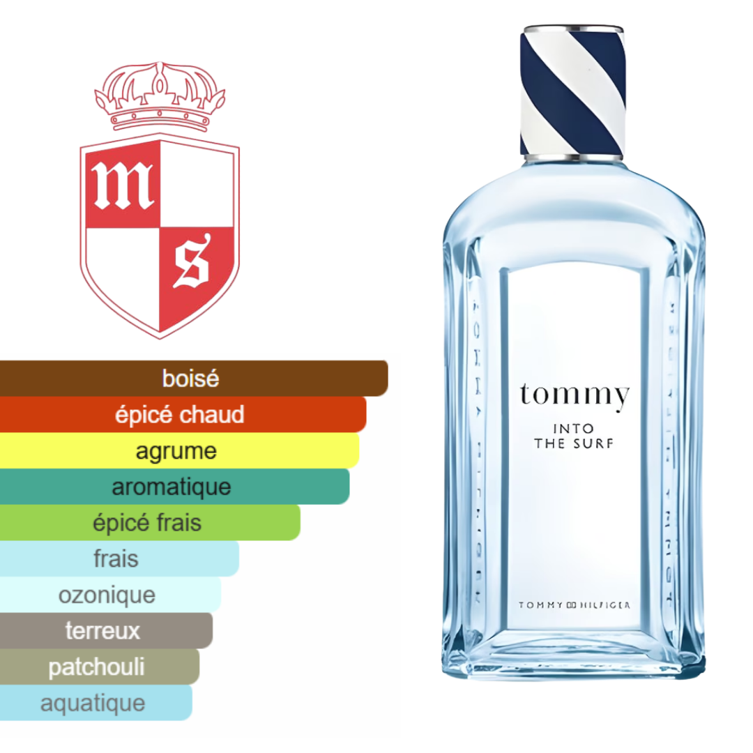 Extrait de TOMMY HILFIGHER INTO THE SURF qualité premuim.